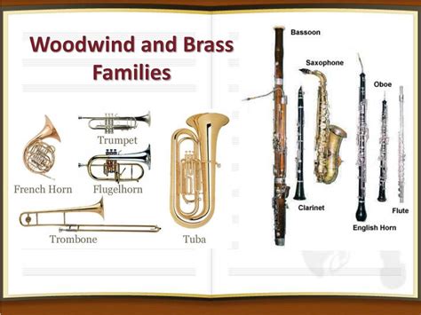 Image result for Types of Instrument Groups