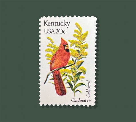 25 Vintage Kentucky State Flower & Bird Stamps - Louisville USPS Stamp ...