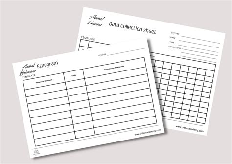 Image result for Ethogram Example Animal Behavior