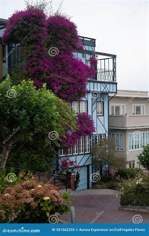 Houses and Homes on Lombard Street in Historic San Francisco Districts ...