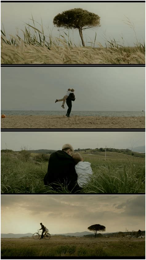 Image result for Shell Short Visual