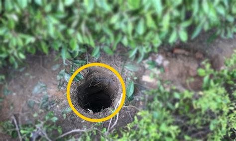 How to Install Earthing Kit for Rooftop Solar? - Expert Guidelines