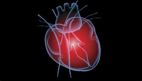 Right Heart Catheterization improves outcomes of cardiogenic shock: Study