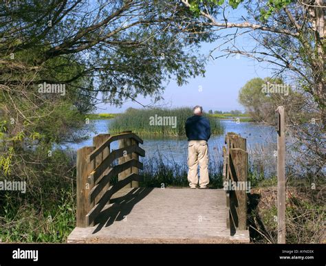 Merced National Wildlife Refuge, Merced, CA USA Stock Photo - Alamy
