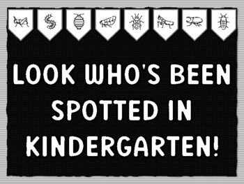 LOOK WHO'S BEEN SPOTTED IN KINDERGARTEN! Bugs Theme Bulletin Board Kit ...