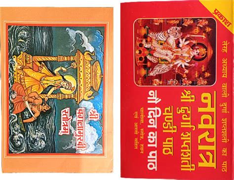 Bagalamukhi Stotram Book With Hindi And Sanskrit |shree Navratri Vrat ...