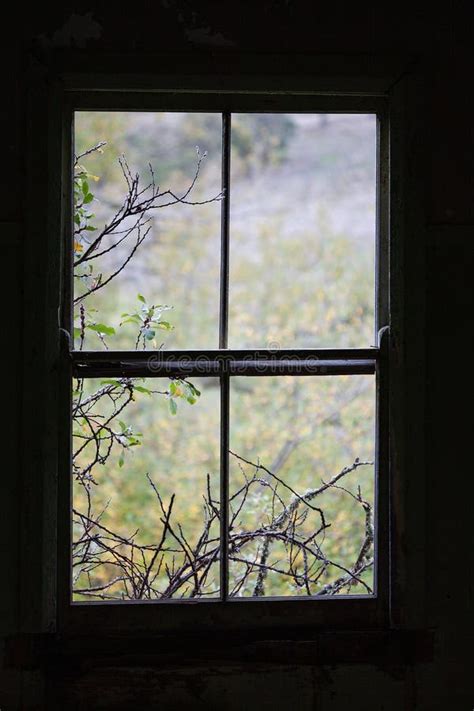 Image result for Window Frame Outside View