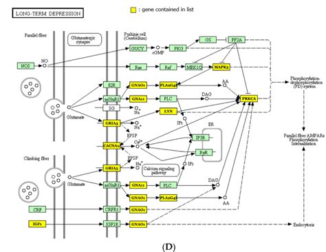 Multiple Pre-Treatment miRNAs Levels in Untreated Major Depressive ...