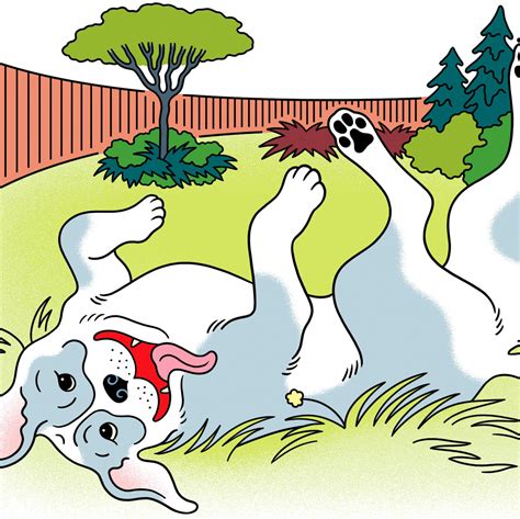 Kwame Anthony Appiah - The New York Times