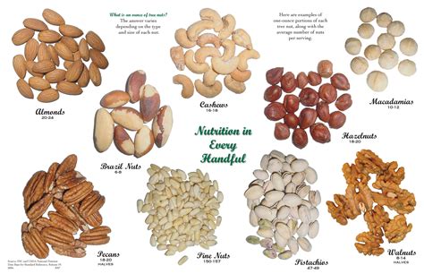 1 oz servings of different types of tree nuts. (almonds, cashews, pistachios, pecans, walnuts ...
