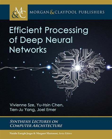 Processing Neural Networks 的图像结果