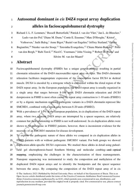 Array Duplication 的图像结果