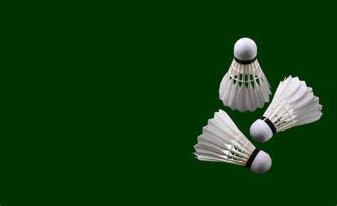 Badminton Poster 的图像结果