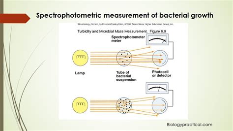 Image result for How to Do Microbial Growth Curves Using Spectrophotometer