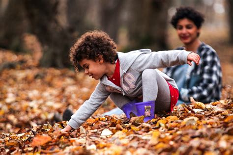 Washing Tree Activities 的图像结果