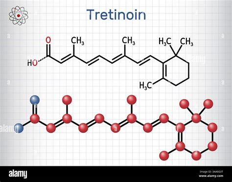 How to Apply Tretinoin, According to Dermatologists Vector Art