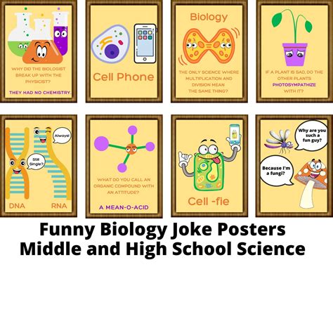 Biology Vs Maths Jokes at Eloise Rameriz blog