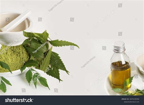 621 imágenes de Eating neem - Imágenes, fotos y vectores de stock | Shutterstock