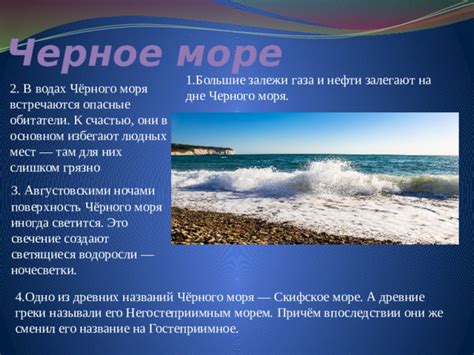 Интересные факты о морях России