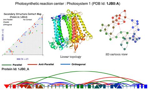 ProLego:: Protein as lego blocks