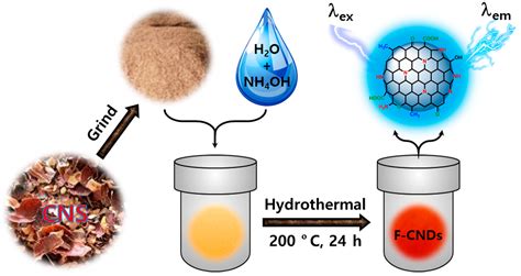Eco-Friendly Synthesis of Functionalized Carbon Nanodots from Cashew ...