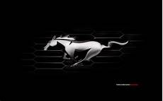Mustang Logo Wallpaper 4k by Ford Mustang Emblem Wallpaper 58 Images Mustang Logo Wallpaper 4k