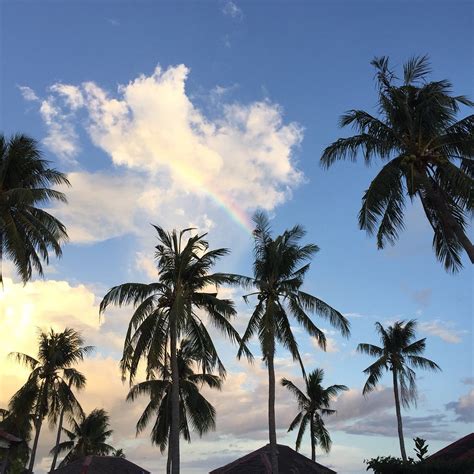 BUDYONG BEACH RESORT (Bantayan Island, Cebu Island) - Ranch Reviews ...