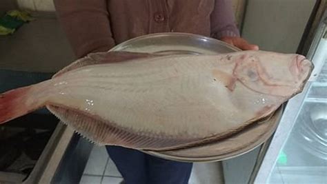 ALUBIAS HOSTAL RESTAURANT (Palpa) - Lodge Reviews & Photos - Tripadvisor