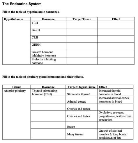 Image result for Endocrine System Table