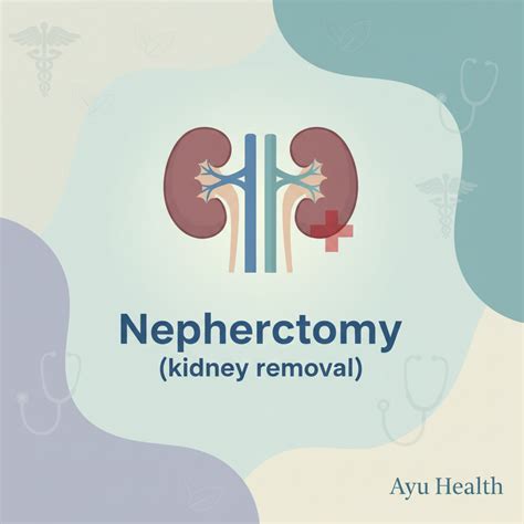 Nephrectomy: Kidney Removal Surgery & Recovery Guide | Ayu | Ayu ...