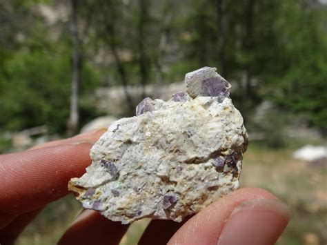 Image result for Ruby Hunting