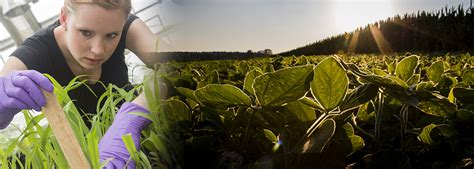 CropScience 的图像结果