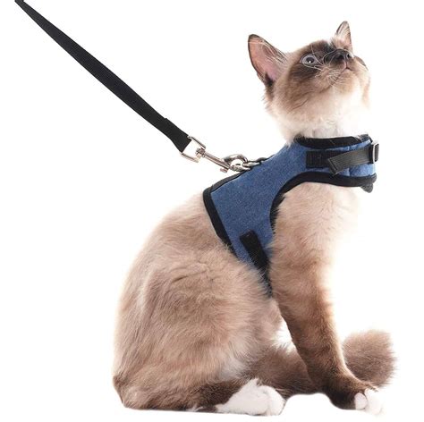 5 Best Cat Harness and Leashes | Harnesses For Ragdoll Cats