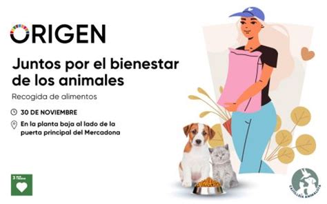 ¡Nueva recogida de alimentos para gatos y perros! 🐱🐶 – AIRESUR