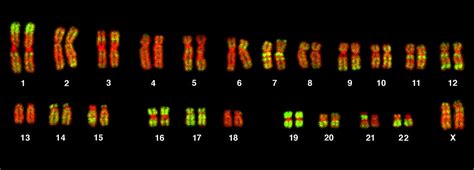 Image result for Color DataList HTML