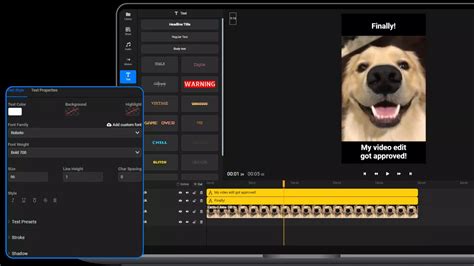 Bottom Text Meme 的图像结果
