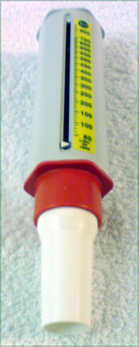 Image result for Peak Flow Meter Chart How to Use