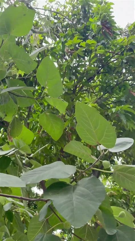 7 July 2024 - YouTube