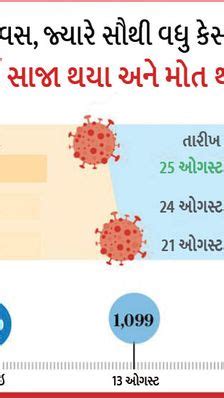 News Videos: Latest Gujarati Video News, News Video Clips - Divya Bhaskar