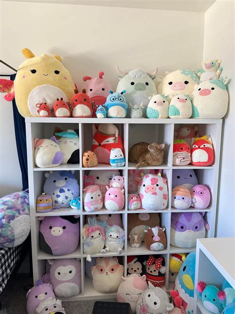 Don't be suspicious.. don't be suspicious 🐱 : r/squishmallow