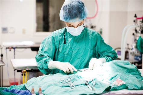 Spay / Neuter | FACE | Low Cost Animal Clinic | Indianapolis, IN