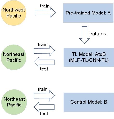 Image result for TL Physics Large Data Set
