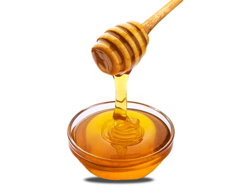 Organic Jamun Honey Benefits for Diabetics – Nature's Box