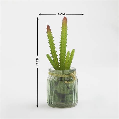 Buy Splendid Dastkari Artificial Succulent in Glass Jar from Home ...