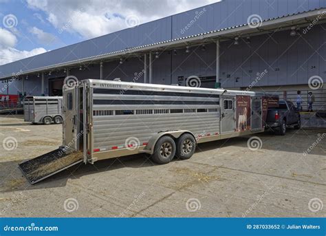 Image result for Loading Goats On Trailer