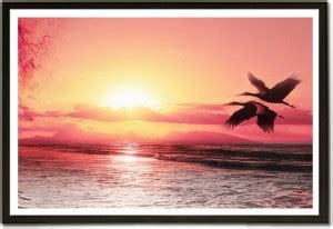 Framed Birds Over The Sea Paper Print - Nature posters in India - Buy ...