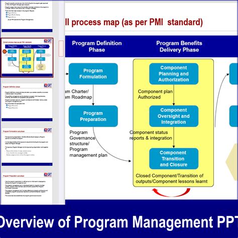 Image result for Program Management Overview