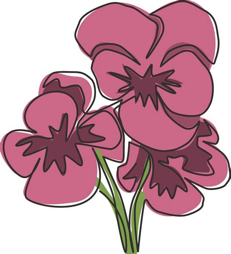 Viola Plant Drawing
