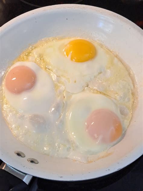 1 store bought egg and 2 fresh out of the chickens butt : r/homestead