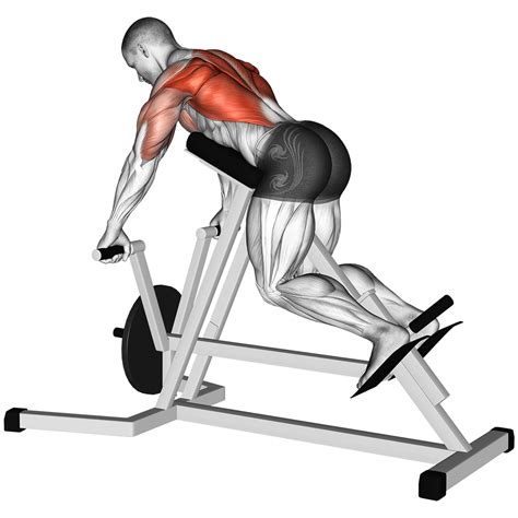 T Bar Row Machine